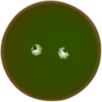 Snooker ball Favorite 2 1/16" (52.4 mm) green