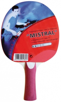 Tabletennis Racket Arrow